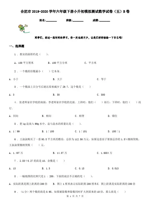 合肥市2019-2020学年六年级下册小升初模拟测试数学试卷(五)B卷