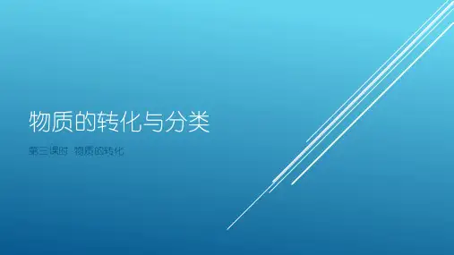 人教版物质的分类及转化PPT完美课件1