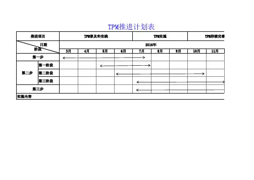 TPM推进计划表