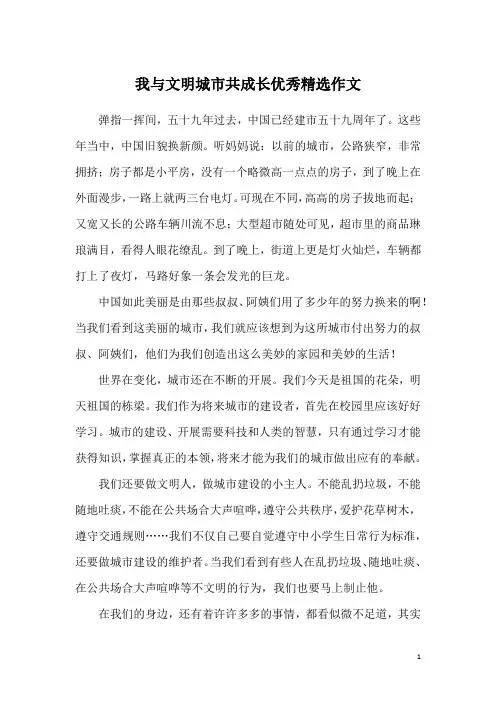 我与文明城市共成长优秀精选作文