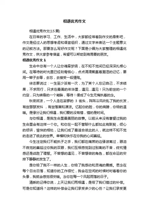 相遇优秀作文