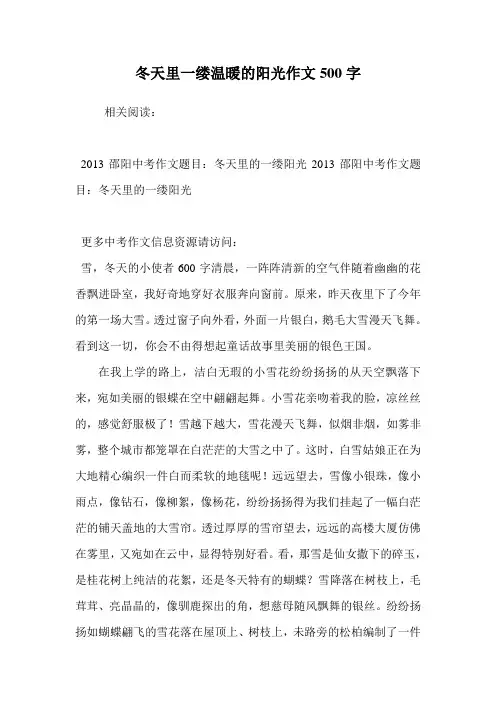 冬天里一缕温暖的阳光作文500字
