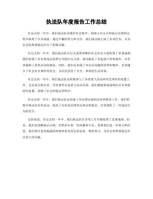 执法队年度报告工作总结
