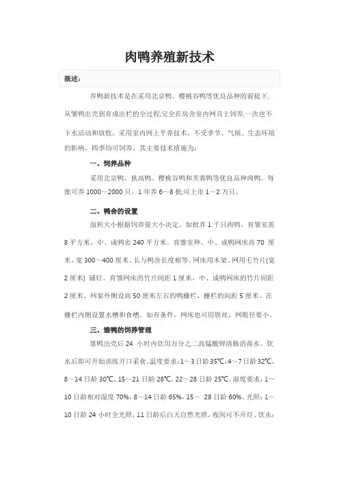 肉鸭养殖新技术
