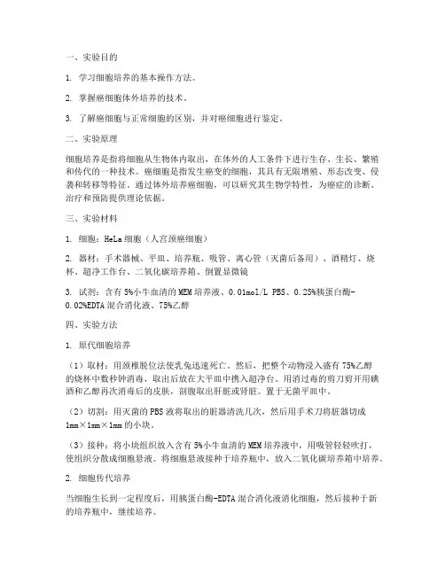 癌细胞实验报告