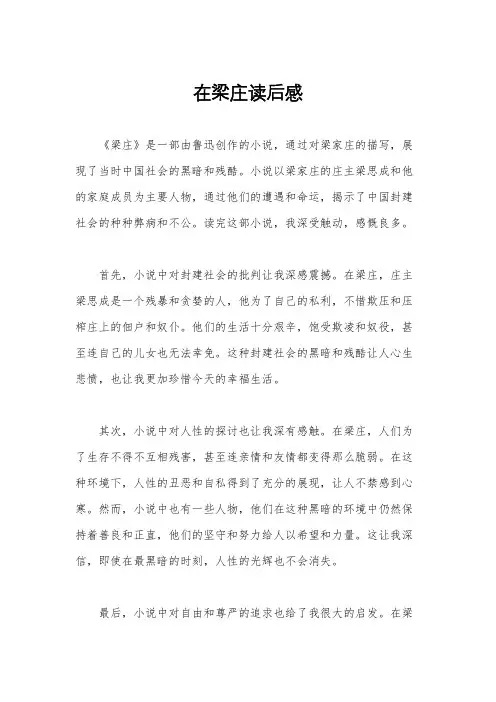 在梁庄读后感