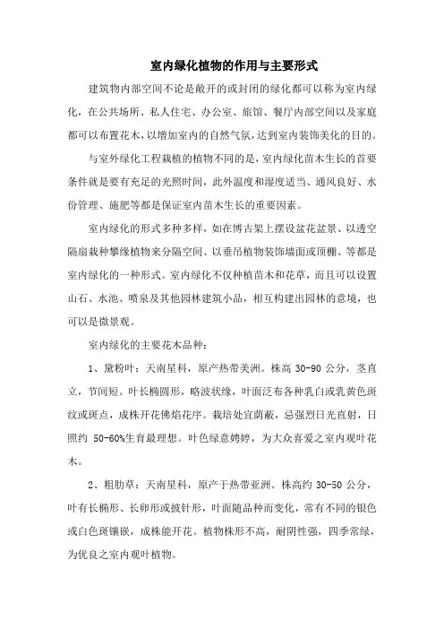 室内绿化植物的作用与主要形式