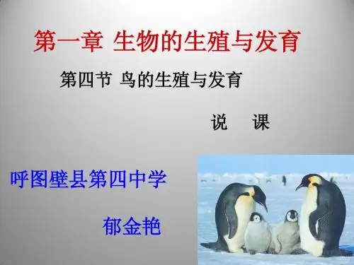 7.1.4鸟的生殖和发育说课课件1