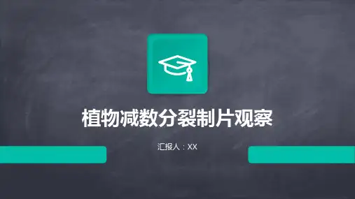 植物减数分裂制片观察