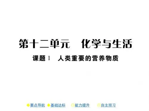 人教版九年级化学下册第十二单元化学与生活PPT复习课件全套