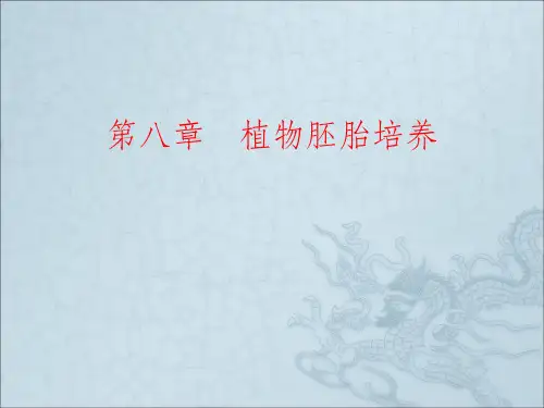 植物胚胎培养