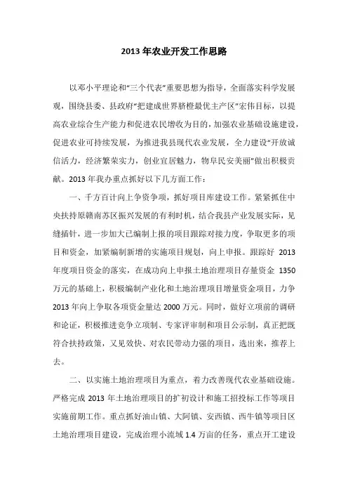 2013年农业开发工作思路