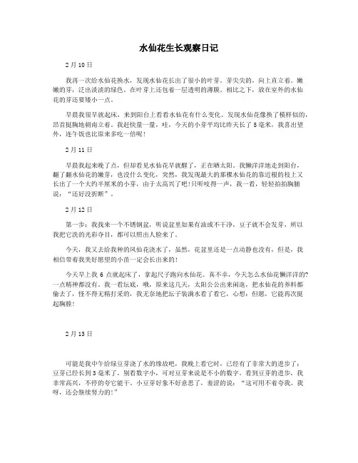 水仙花生长观察日记