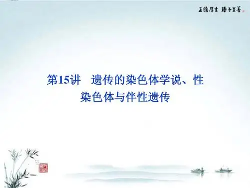 2013年高考生物二轮专题突破总复习 第15讲 遗传的染色体学说、性染色体与伴性遗传课件 新人教版