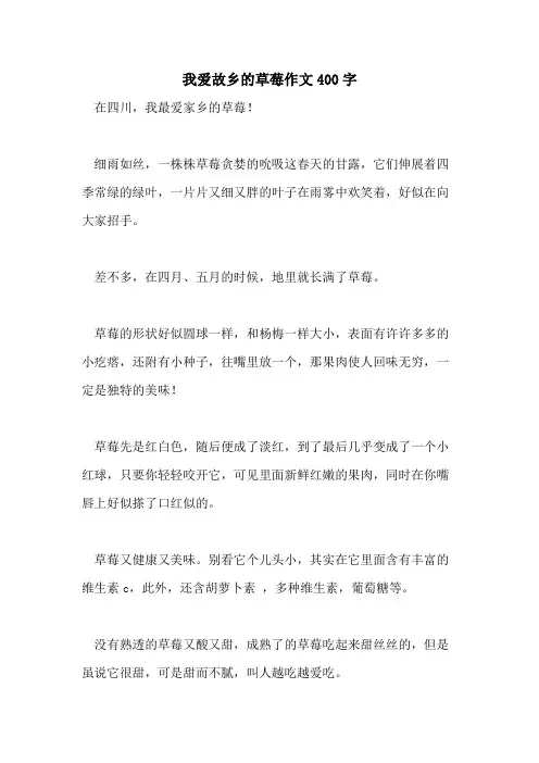 2021年我爱故乡的草莓作文400字