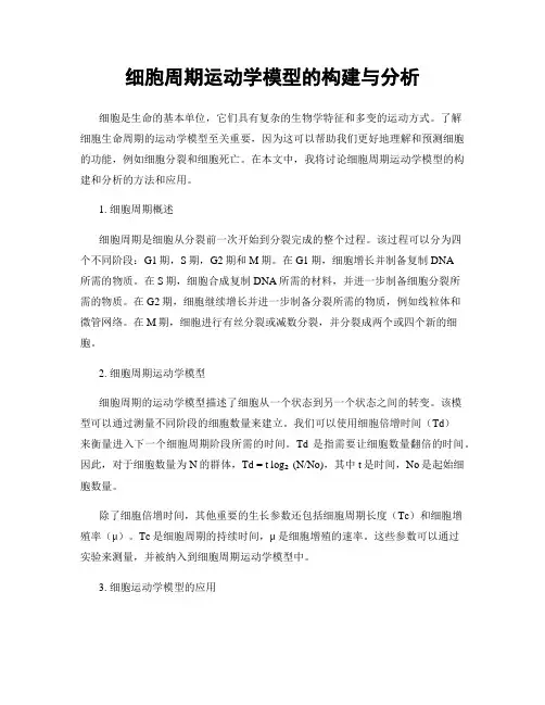 细胞周期运动学模型的构建与分析