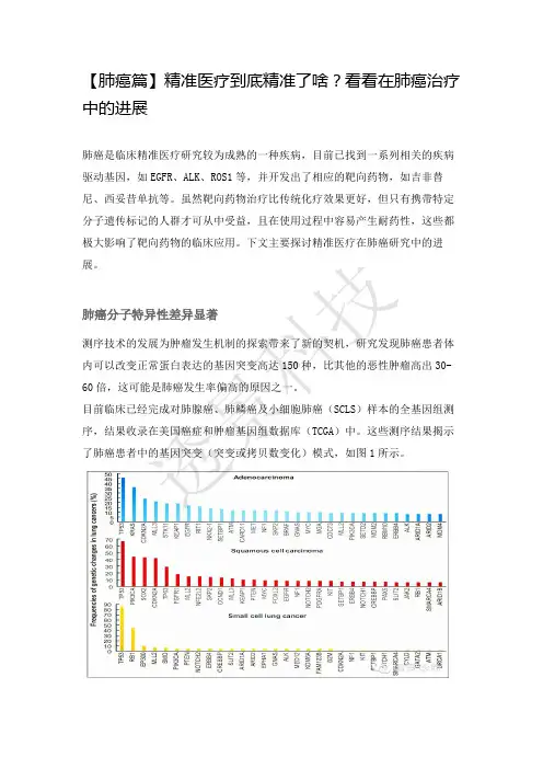 【肺癌篇】精准医疗到底精准了啥看看在肺癌治疗中的进展