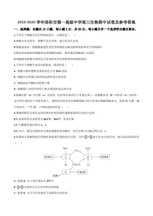 2019-2020学年洛阳市第一高级中学高三生物期中试卷及参考答案