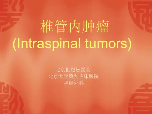 脊髓解剖