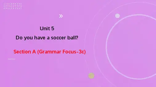 人教版 英语七上 Unit 5 第二课时 Section A(Grammar Focus-3c)课件