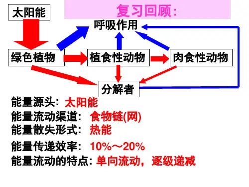 人教版生物必修三5.3生态系统的物质循环高中生物精品公开课
