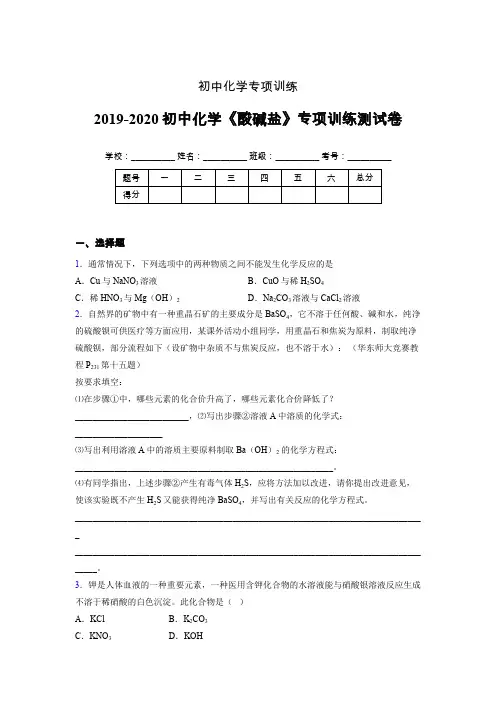 2019-2020学年初中化学《酸碱盐》专项训练模拟测试(含答案) (143)