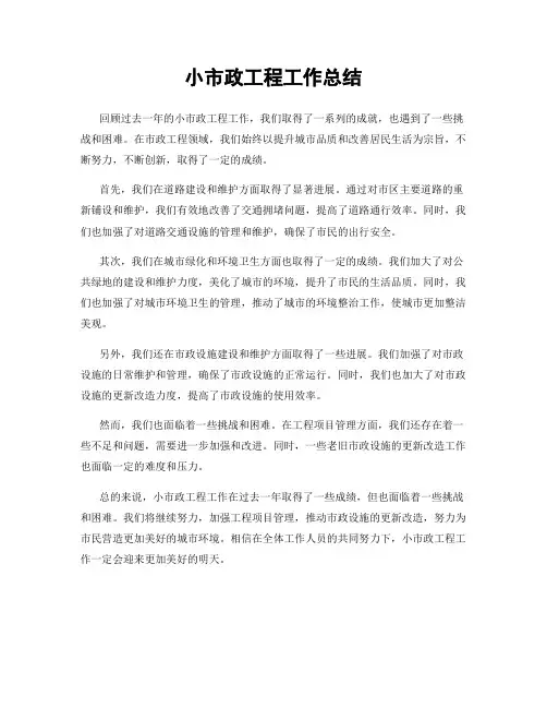 小市政工程工作总结 2