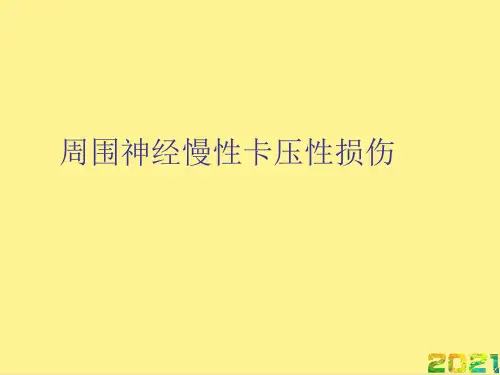 周围神经慢性卡压性损伤完整PPT