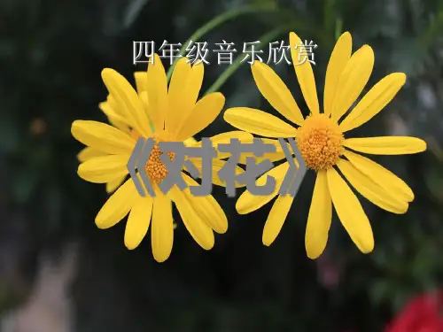 《对花》PPT课件3
