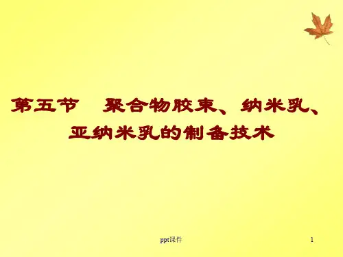 聚合物胶束  ppt课件