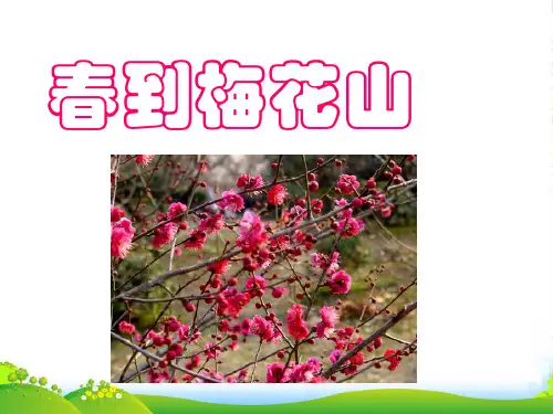 小学一年级下学期语文《春到梅花山》PPT课件