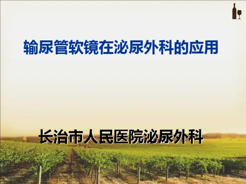 输尿管软镜在泌尿外科的应用PPT课件