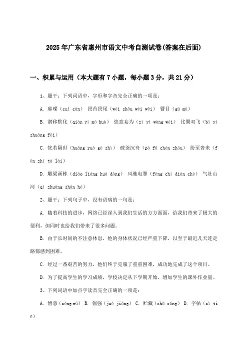 广东省惠州市语文中考试卷及答案指导(2025年)