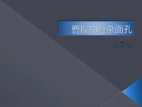 《三国演义》课外拓展ppt课件2(4)全面版