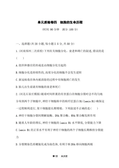 人教版高考生物学一轮总复习课后习题 第四单元 细胞的生命历程 单元质检卷四 细胞的生命历程