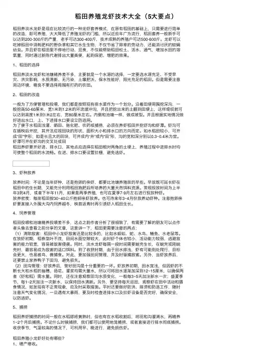 稻田养殖龙虾技术大全（5大要点）
