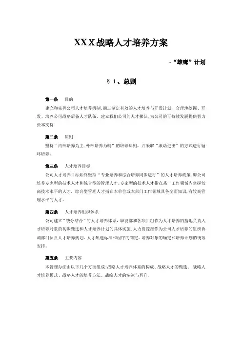 战略人才培养方案