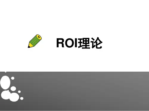ROI理论