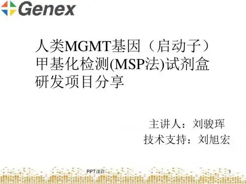 MGMT-甲基化试剂盒研发  ppt课件