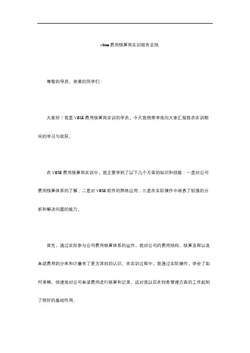 vbse费用核算岗实训报告总结