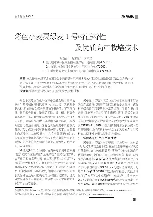 彩色小麦灵绿麦1号特征特性及优质高产栽培技术