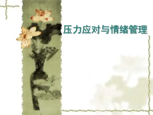 压力与情绪管理 PPT课件