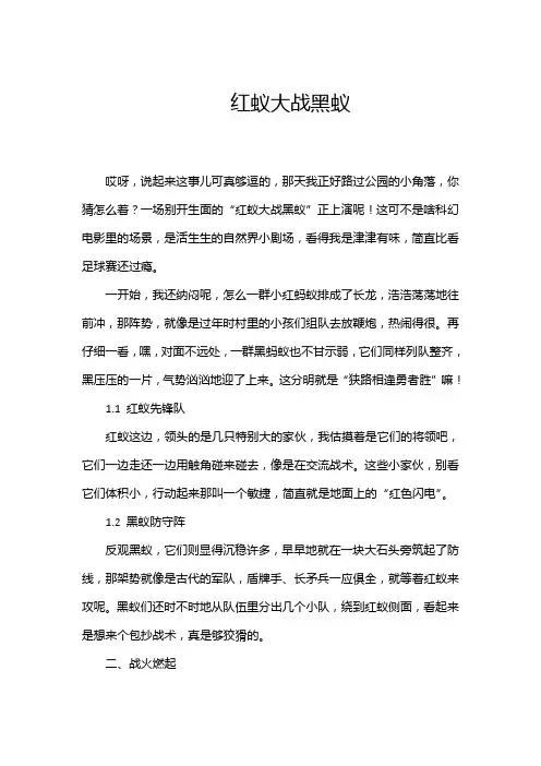 红蚁大战黑蚁作文