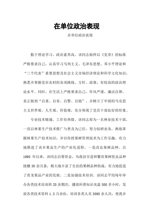 在单位政治表现