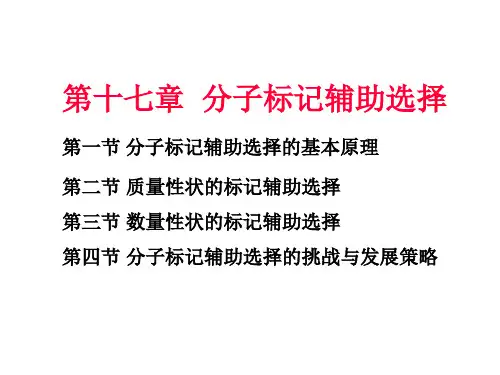 分子标记辅助选择课件