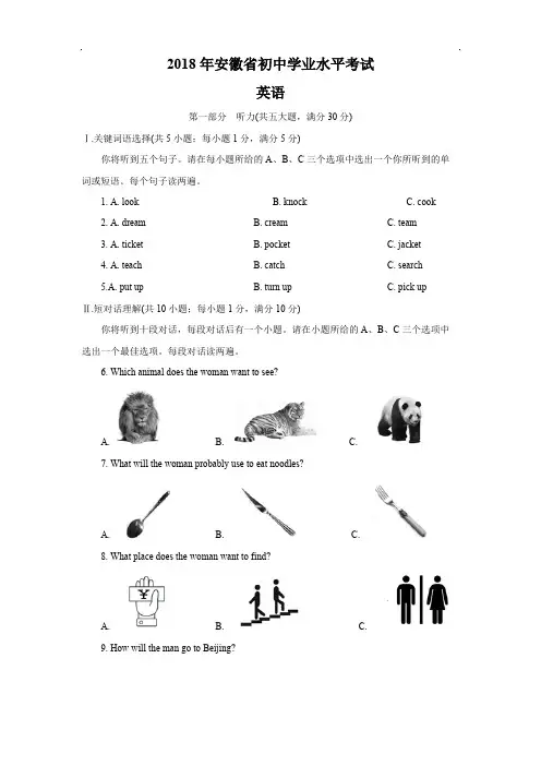 2018年安徽省中考英语试题及答案解析