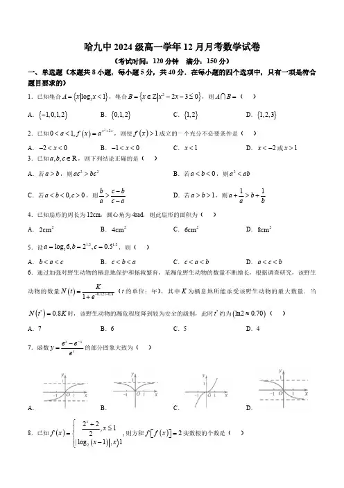 黑龙江省哈尔滨市第九中学校2024-2025学年高一上学期12月月考数学试题(含答案)