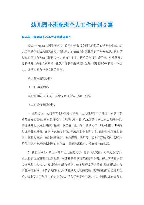 幼儿园小班配班个人工作计划5篇