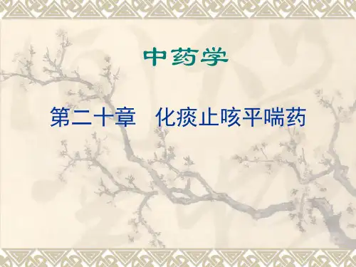 第二十章 化痰止咳平喘药(非医)