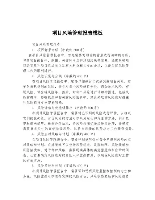 项目风险管理报告模板